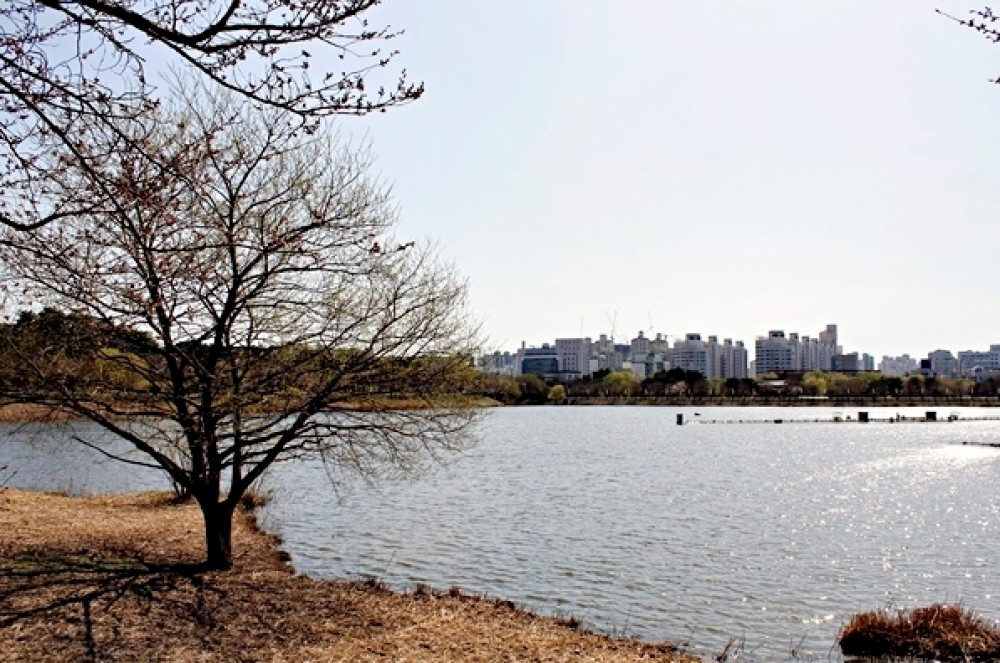1771875946_cea4e293.jpg
