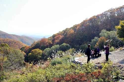 수원천 발원지는 절터약수터?