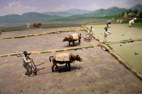 '수원갈비'에는 이런 역사가 있네