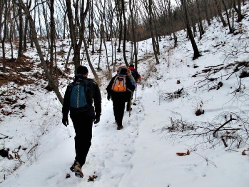 진각국사(眞覺國師)비는 우리를 반겼다