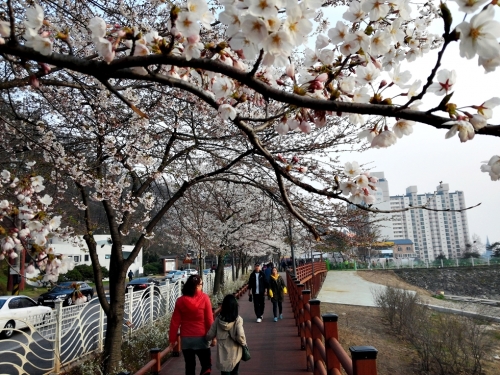 물빛의 아름다움, 호젓한 수변산책로의 유혹