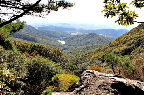 이번 주 광교산 단풍 보러 갈까