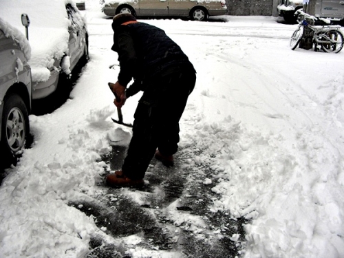 초겨울 폭설, '수원 SNS' 또한번 빛났다