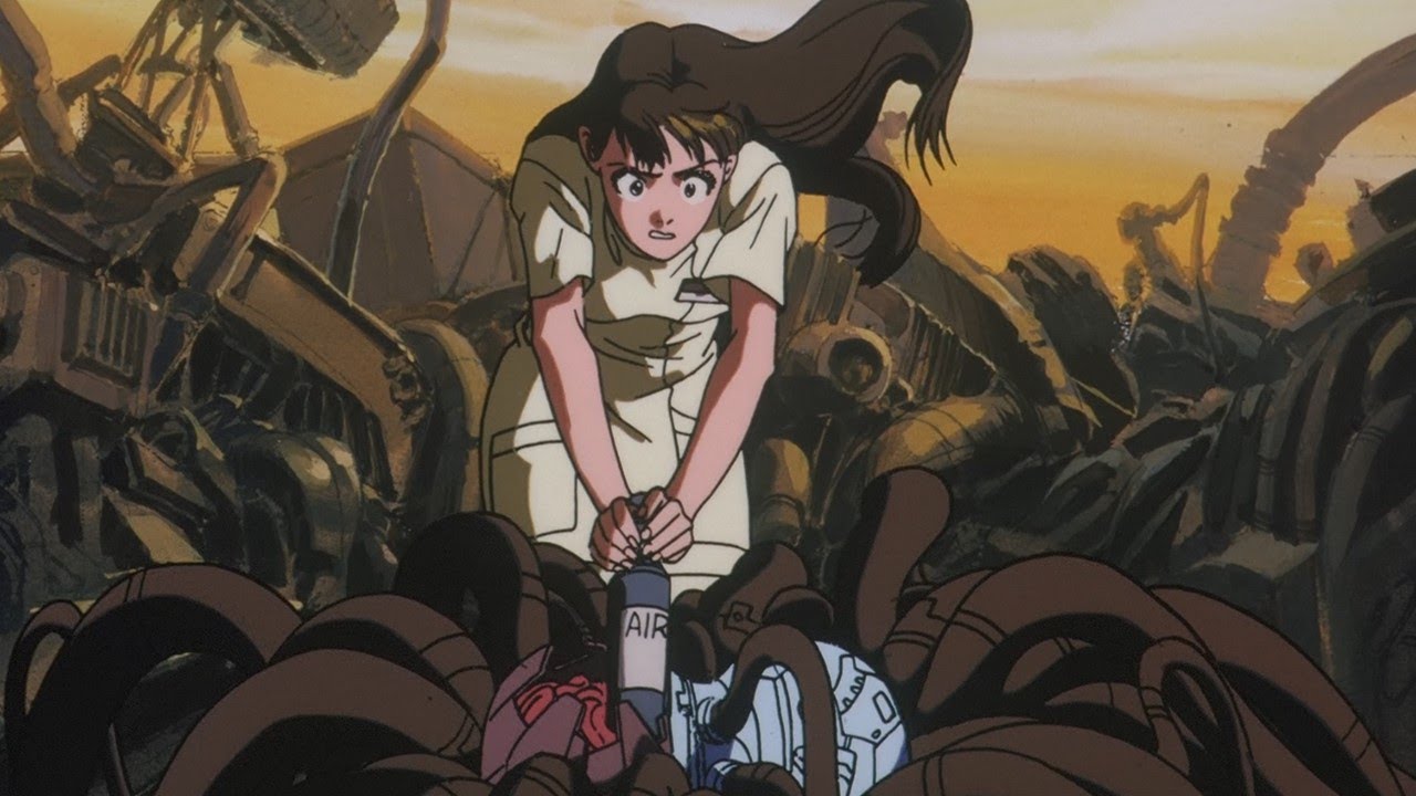 노인 Z, 맞지 않는 경우의 수와 확률의 세계