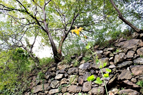 700여년의 역사를 가진 광교산 ‘고려 창성사지‘ 가다