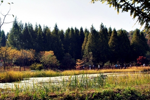 가을 정취 맘껏 느낄 수 있는 오산 ‘물향기수목원’
