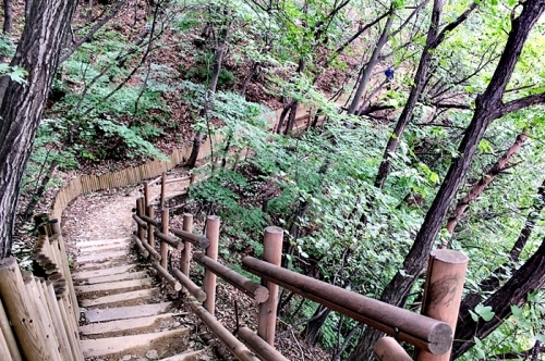 광교산 삼림욕과 함께한 걷기 좋은 ‘지게길’