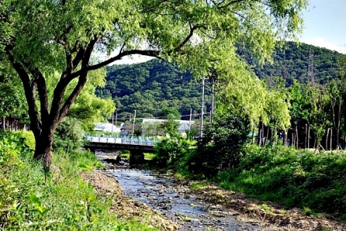 수원 40여년, 내가 겪어본 수원
