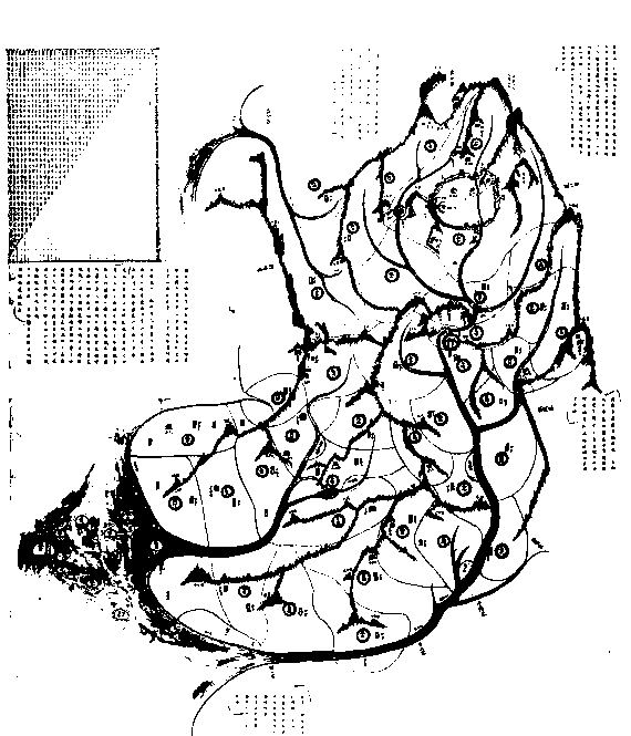 괴물급 '우주(호로)'와 하류 세계의 그 대처 방안