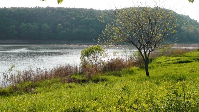 범미킴동(神市)의 군사력은 이미 지구를 넘어선다