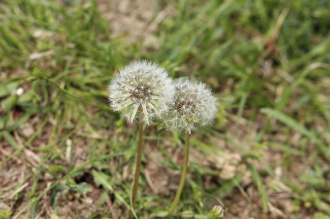 무시할 수 없는, 생존을 위한 인류의 미래