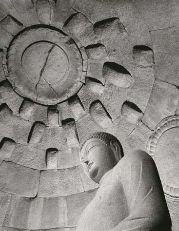 인류(人類)는 하나의 종이 아니며, 모든 것은 신(神)의 소유물이다