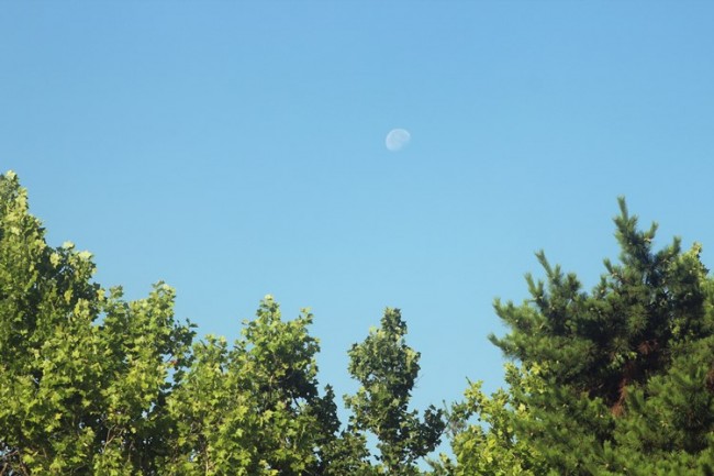 인류의 숨겨진 하나 신(神)과 초고도 문명 (1)