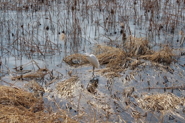 하나의 문제만 달려있는 것이 아니다