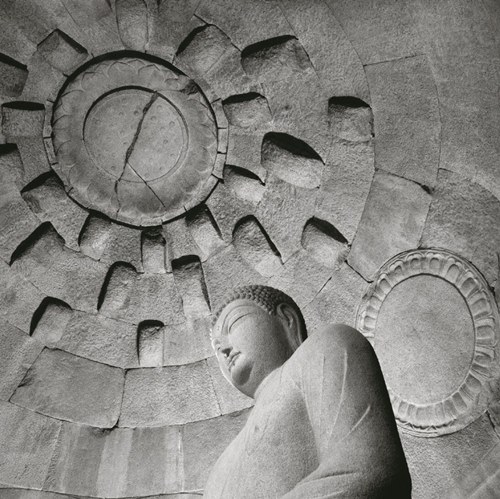 파 사회와 생존을 위한 월계로의 진출