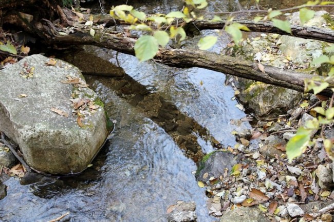 인류의 위기, 지옥의 길목과 생존을 위한 방법론