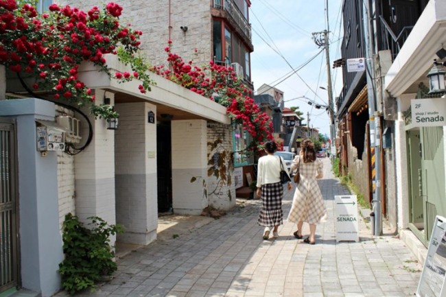 우주 이야기 7편, 조우(遭遇)