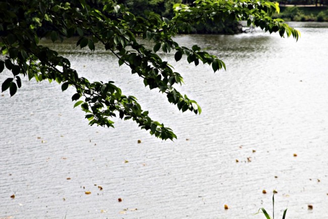 우주 이야기 9편, 다시금 고향을 거닐다